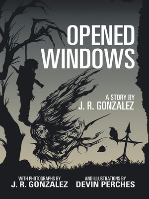 cover image of Opened Windows
